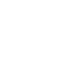 Home Icon